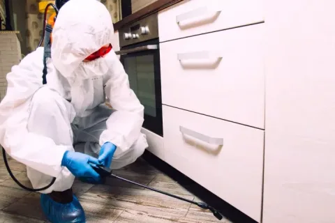 Petek çevresinde böcek sorunu için mutfak dolabı altındaki boru geçişlerine uzman uygulaması